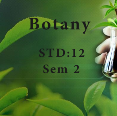 Std 12 Sem 2 Botany (Book + E Net) software 