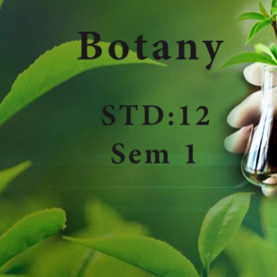 Std 12 Sem 1 Botany (Book + E Net)